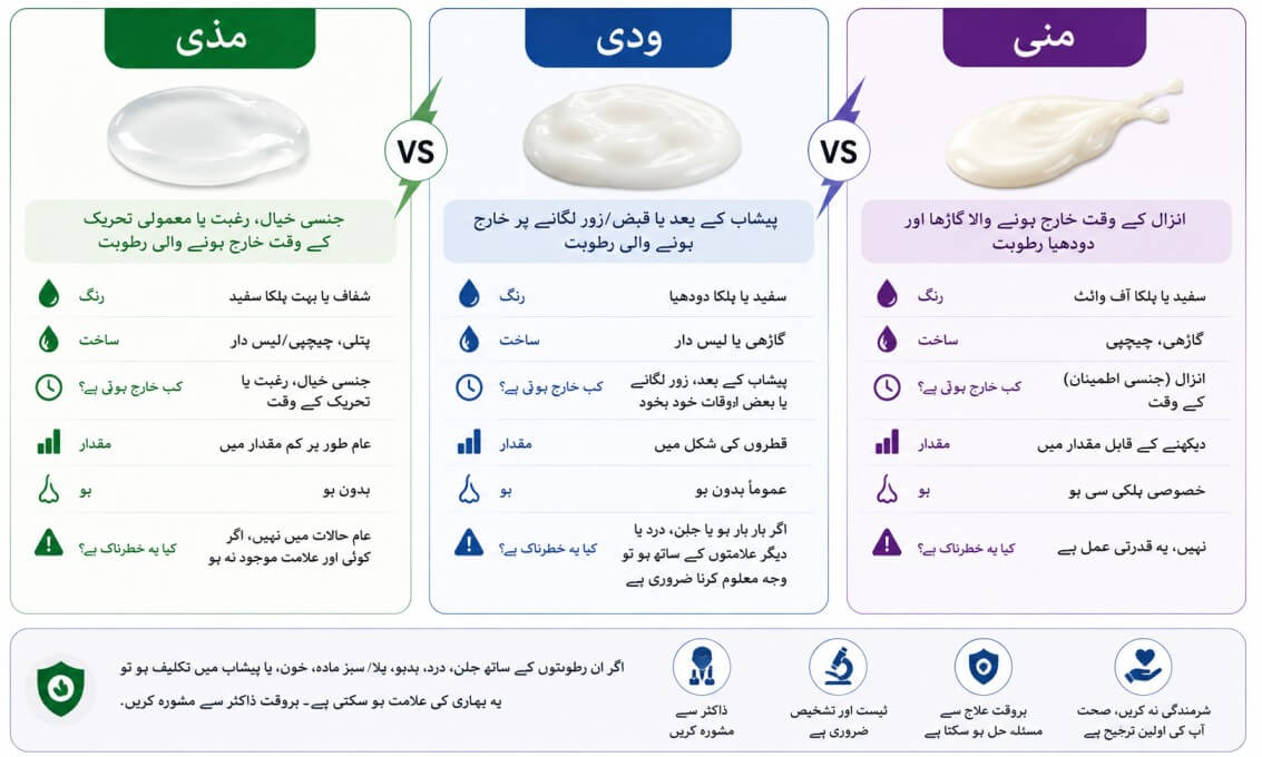 مذی، ودی اور منی میں فرق