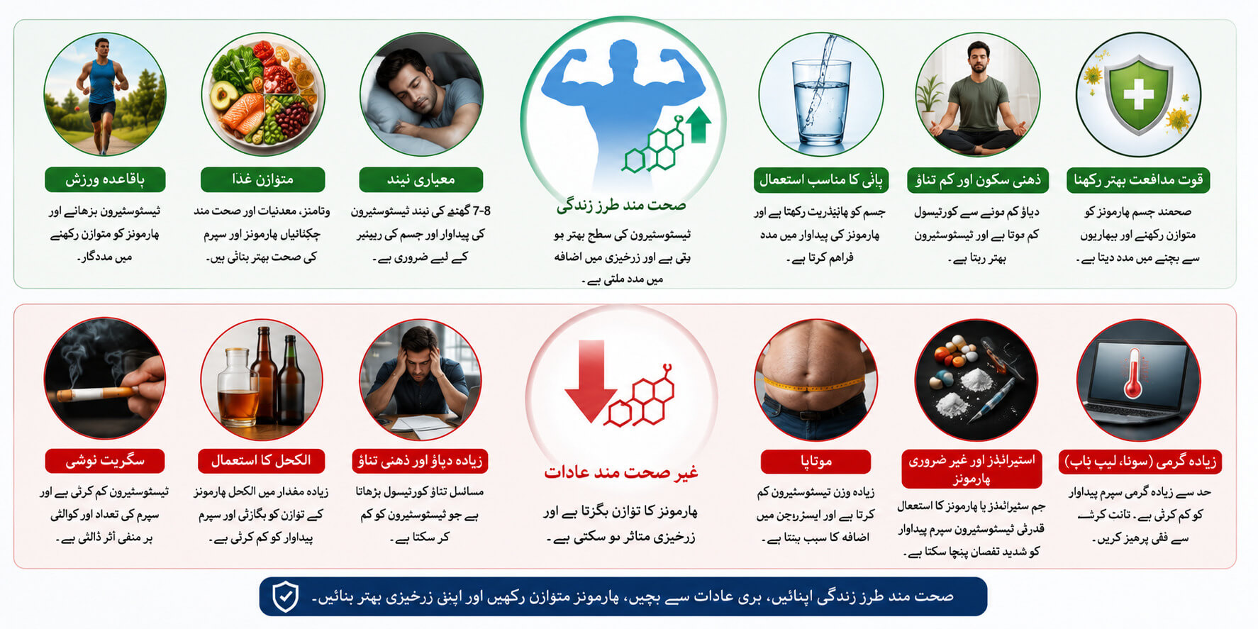 Lifestyle Factors That Affect Male Hormones